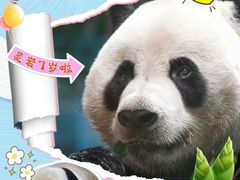 -栾川竹海野生动物园