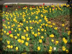 -长春公园(普阳街道)