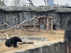 -武汉动物园