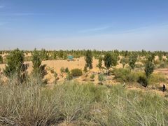 -亿利库布其七星湖沙漠生态旅游区