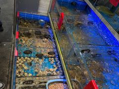 -金海湾海鲜排档(朱家尖店)