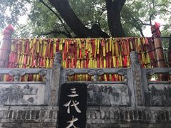 -大槐树寻根祭祖园