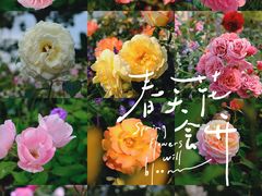 -香蜜公园
