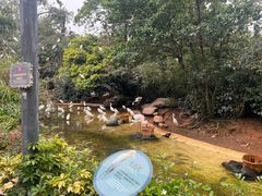 -珠海长隆海洋王国