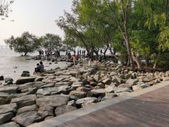 -宝安西湾红树林湿地公园