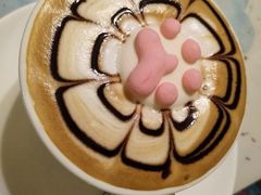 猫色特调咖啡-猫色咖啡·猫咖