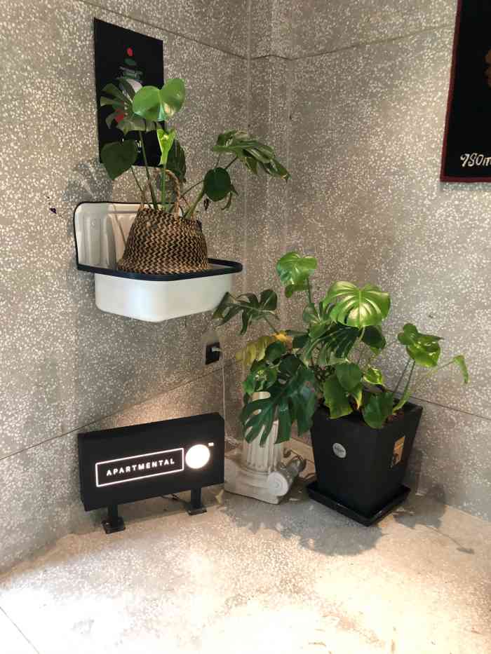 "-大众点评移动版