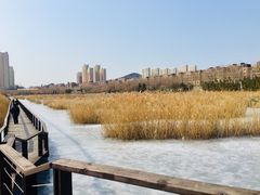 -前关湿地公园