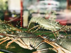景观位-真浪大家乐海鲜餐馆