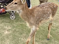 -盈香心动乐园