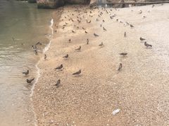 -海驴岛(荣成市)
