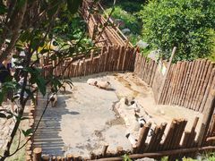 -泉州海丝野生动物世界