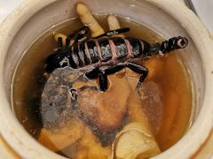 -山泉公馆酒家(珠江新城店)