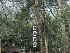 -灵隐飞来峰景区