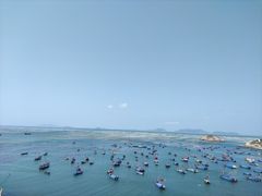 -枸杞岛