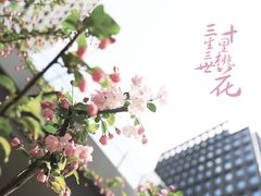-陆家嘴世纪金融广场