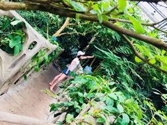 -南山植物园