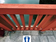 -佛山市三水区大南山森林公园