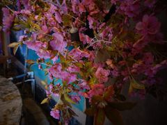-北京美神宫艺术主题温泉酒店