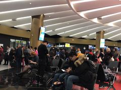 -谢列梅捷沃国际机场
