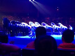 -珠海横琴长隆《卡卡虎奇遇记》