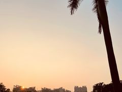 -南沙蒲洲花园