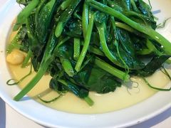 银杏豌豆尖-眉州东坡(团结湖店)