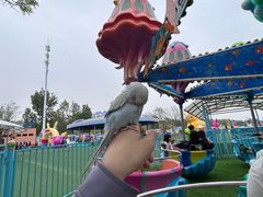 -秦皇岛乐岛海洋王国