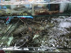 -拉威海鲜市场