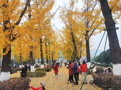 -百林公园-两江幸福广场