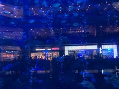 -成都浩海立方海洋公园