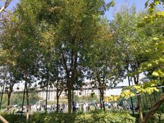 -回龙观体育文化公园