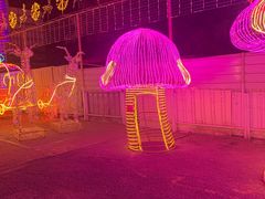 -新五爱道夜市