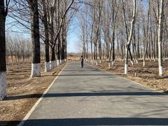 -东郊湿地公园
