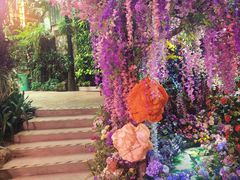 -正佳雨林生态植物园