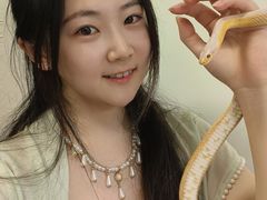 -吉丁鸟咖·异宠·寄养