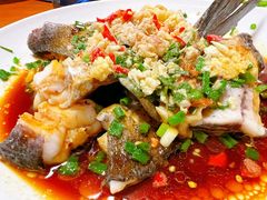 -全乐鱼馆·淳牌有机鱼直营店