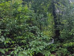 -飞霞风景名胜区