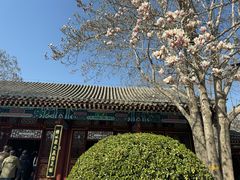 -荣国府