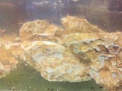 -瑞杰烧烤店·24小时营业(山东路店)
