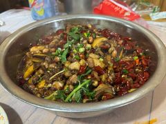 -食神又名厕所兔