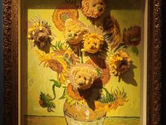 -成都泰迪熊博物馆