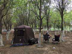-西青郊野公园
