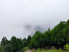 -阳台山自然风景区
