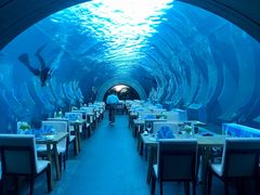 -涛·海底餐厅·美人鱼·自助餐·海底隧道(三亚海棠湾洲际度假酒店)