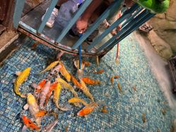 -酷嗒动物文化乐园(cutezoo西溪乐天城店)