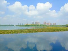 -暨阳湖生态园