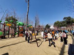 -合肥滨湖国家森林公园