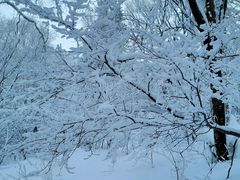 -雪谷