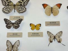 -中国湿地博物馆